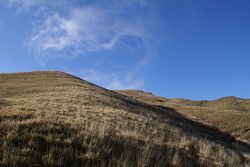 Landescapes e riccioli di cielo